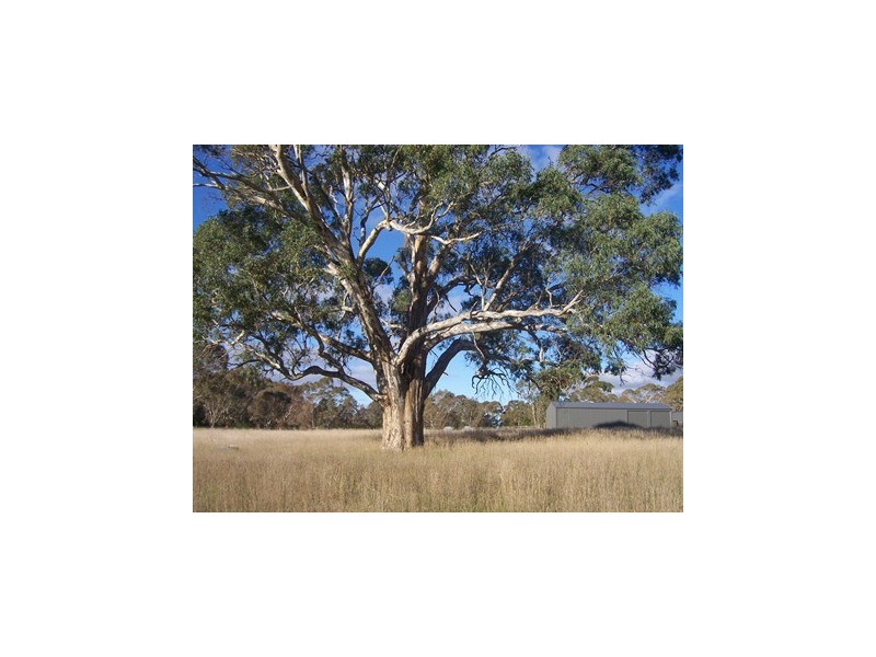 Lot 82 Joseph Court, Blakiston SA 5250