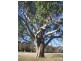 Lot 82 Joseph Court, Blakiston SA 5250