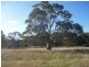 Lot 82 Joseph Court, Blakiston SA 5250