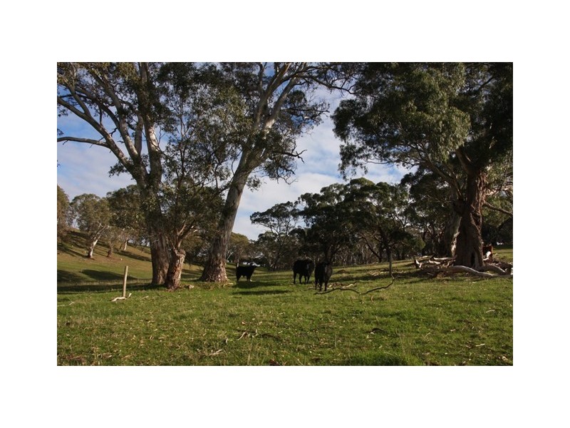 2637 Strathalbyn Road, Macclesfield SA 5153