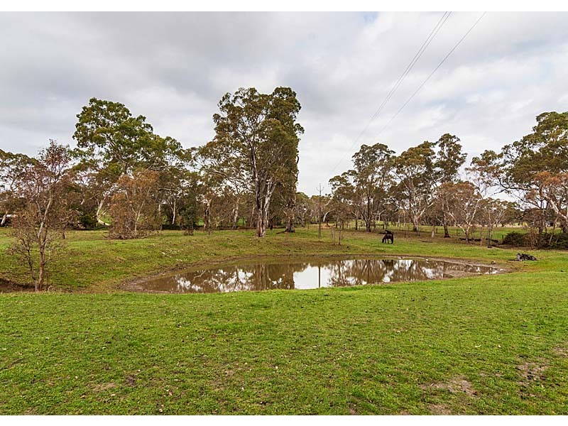 221 Brookman Road, Meadows SA 5201