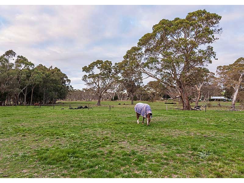 221 Brookman Road, Meadows SA 5201