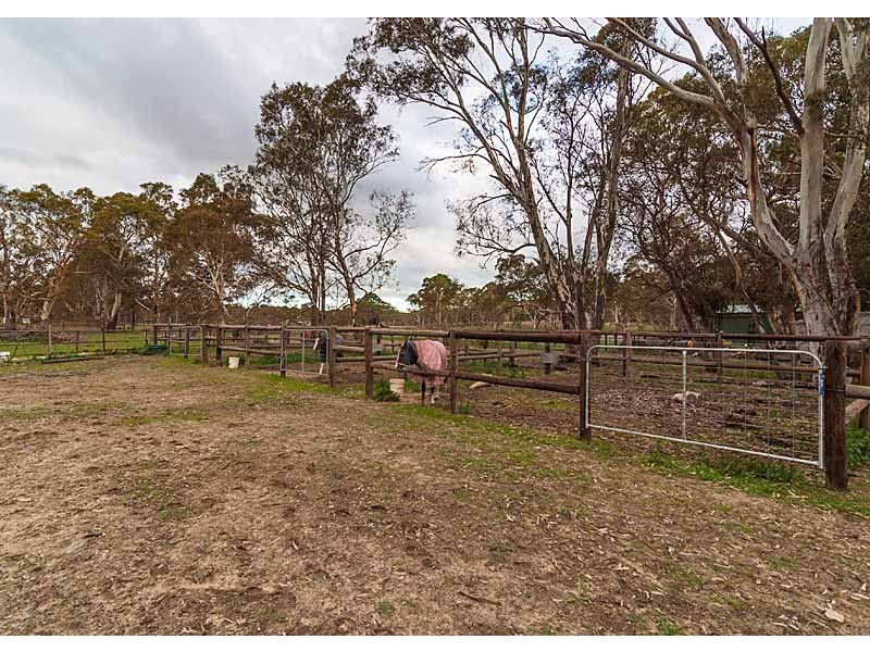 221 Brookman Road, Meadows SA 5201