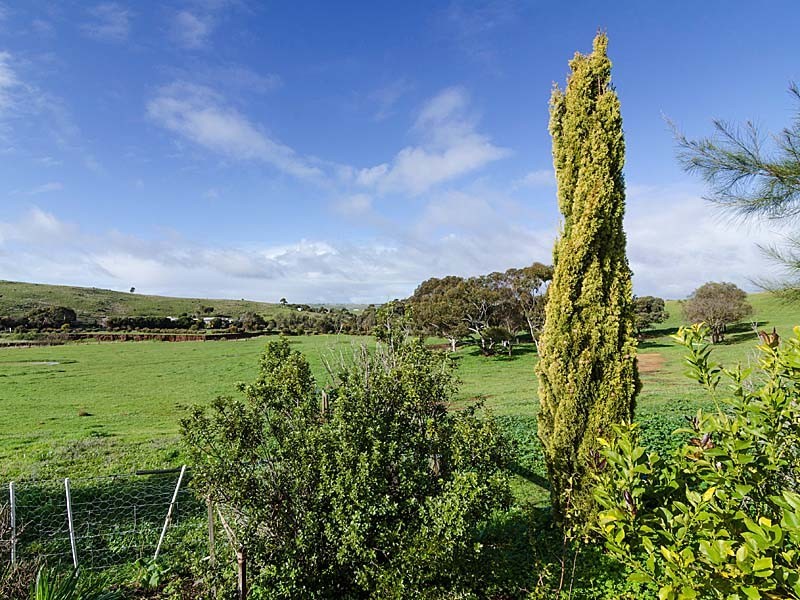 5 Fountain Street, Kanmantoo SA 5252