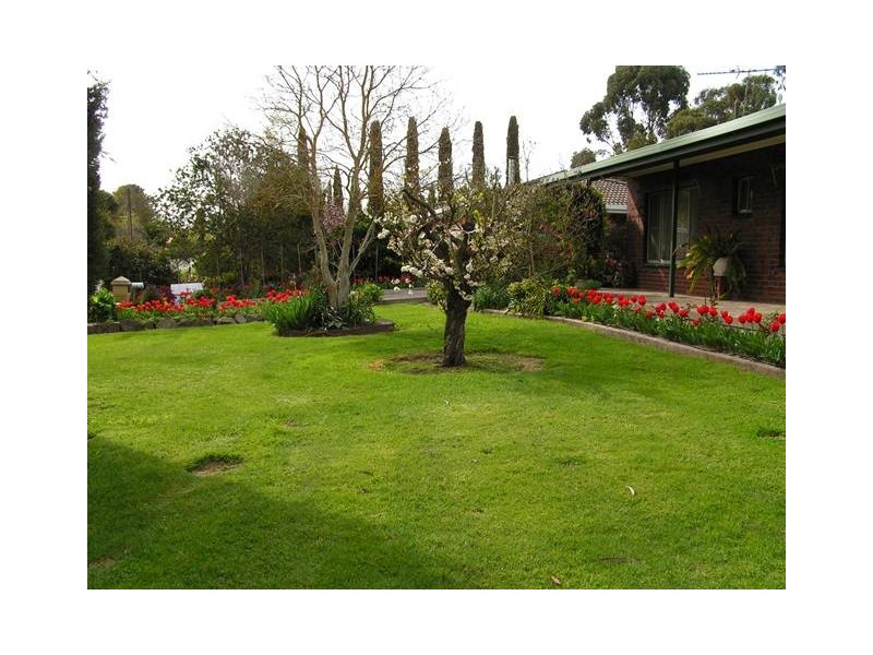 17 Collins Street, Hahndorf SA 5245