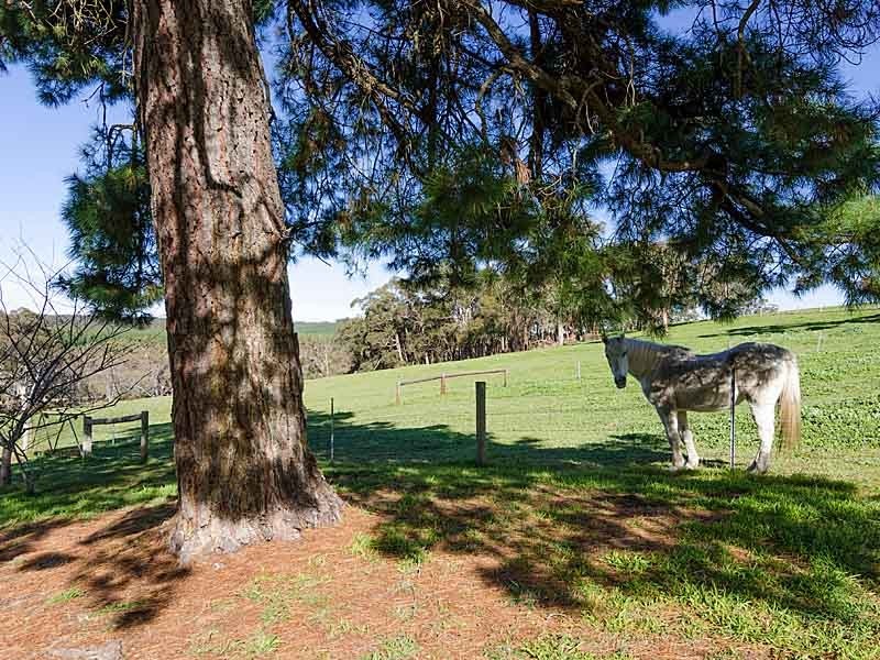 7 Tynan Road, Meadows SA 5201