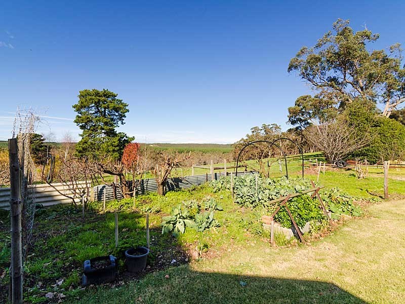 7 Tynan Road, Meadows SA 5201