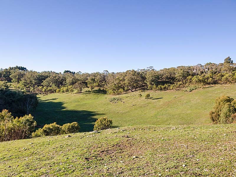 152 Winton Road, Birdwood SA 5234