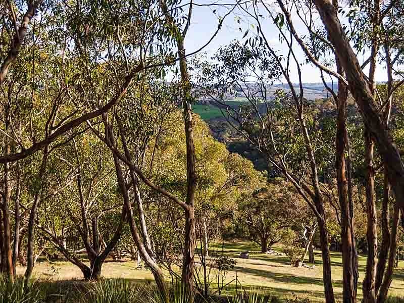 152 Winton Road, Birdwood SA 5234