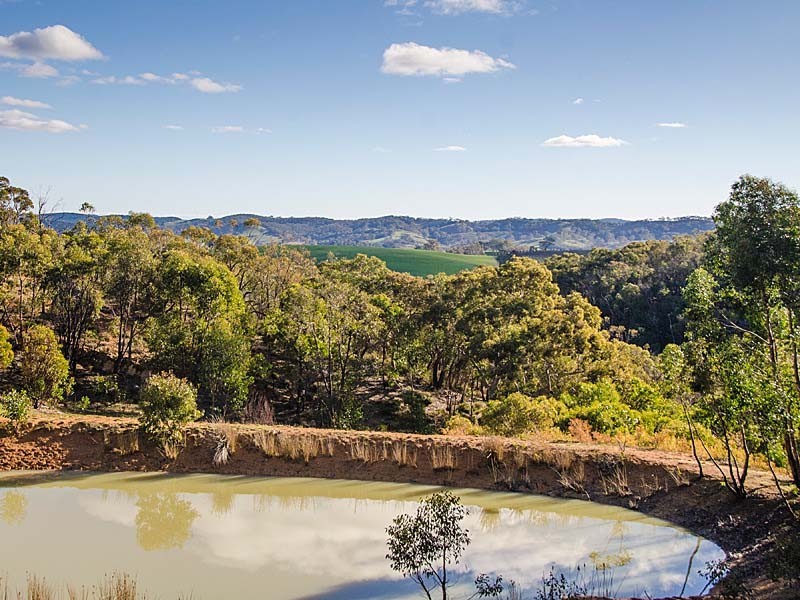 152 Winton Road, Birdwood SA 5234