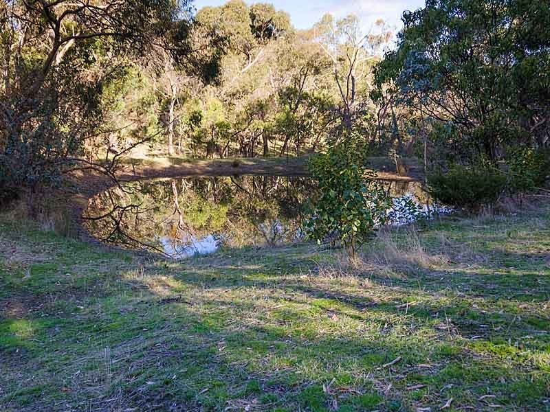 152 Winton Road, Birdwood SA 5234