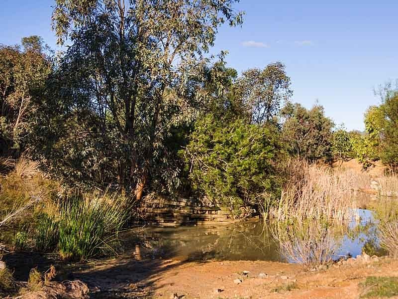 152 Winton Road, Birdwood SA 5234