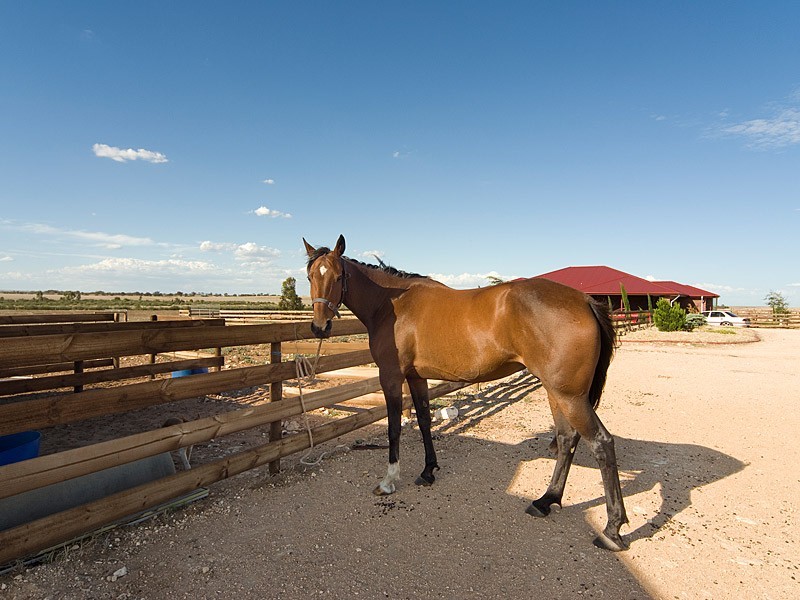 2805 Wellington Road, Langhorne Creek SA 5255