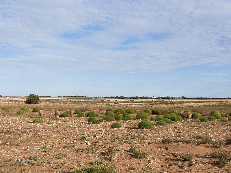 2805 Wellington Road, Langhorne Creek SA 5255