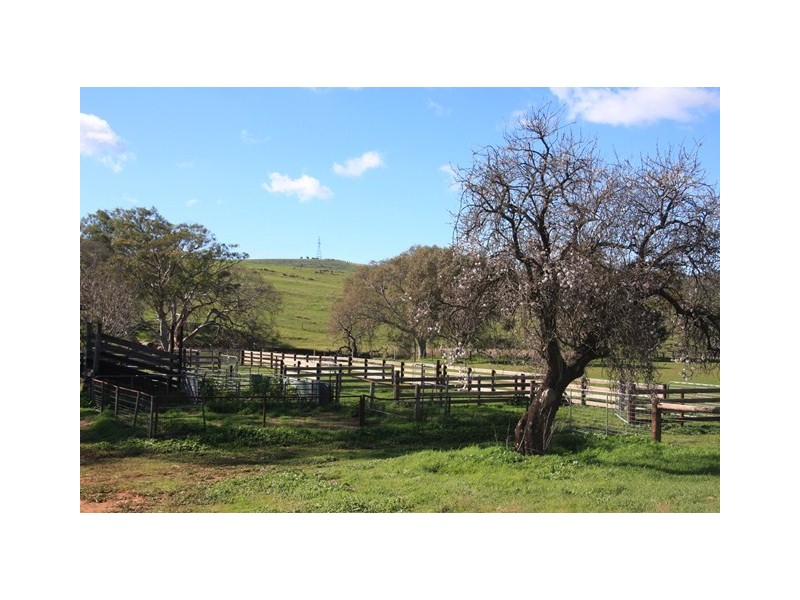 408 Wooley Road, Harrogate SA 5244