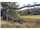 408 Wooley Road, Harrogate SA 5244