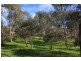 Allotment 983 Young Road, Kanmantoo SA 5252