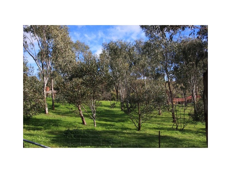Allotment 983 Young Road, Kanmantoo SA 5252