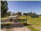 32 Matrice Court, Strathalbyn SA 5255