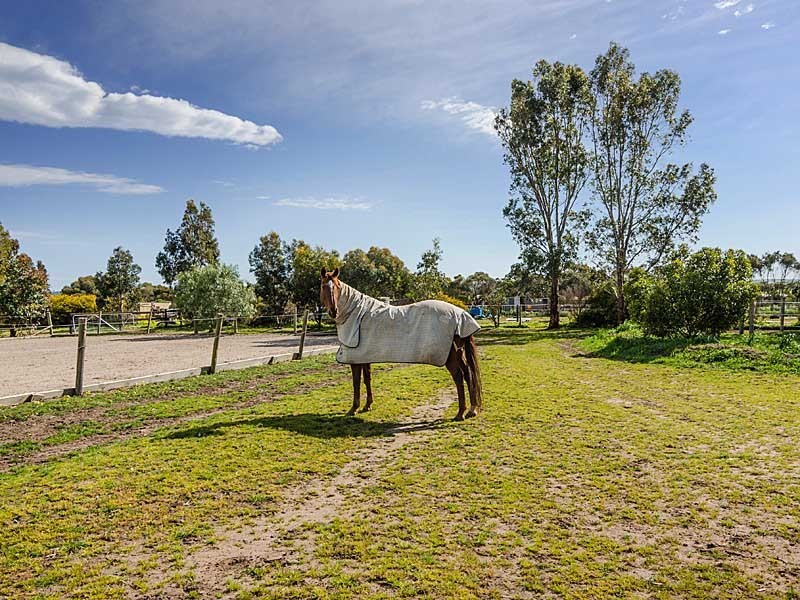 32 Matrice Court, Strathalbyn SA 5255