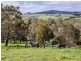 260 Bald Hills Road, Mount Barker SA 5251