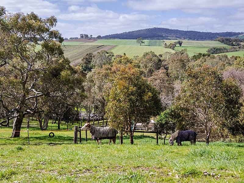 260 Bald Hills Road, Mount Barker SA 5251
