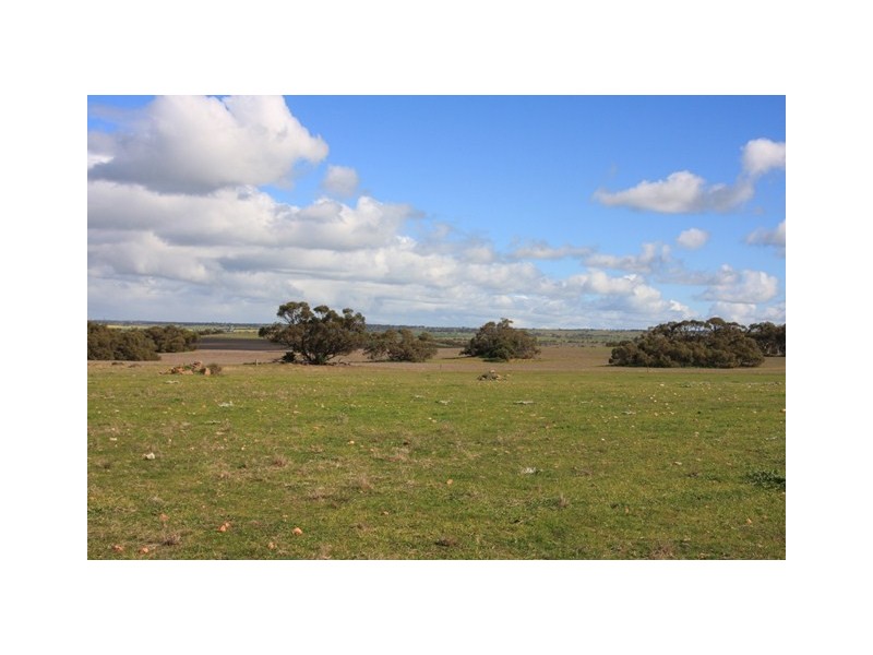 Lot 8 Law Road, Rockleigh SA 5254