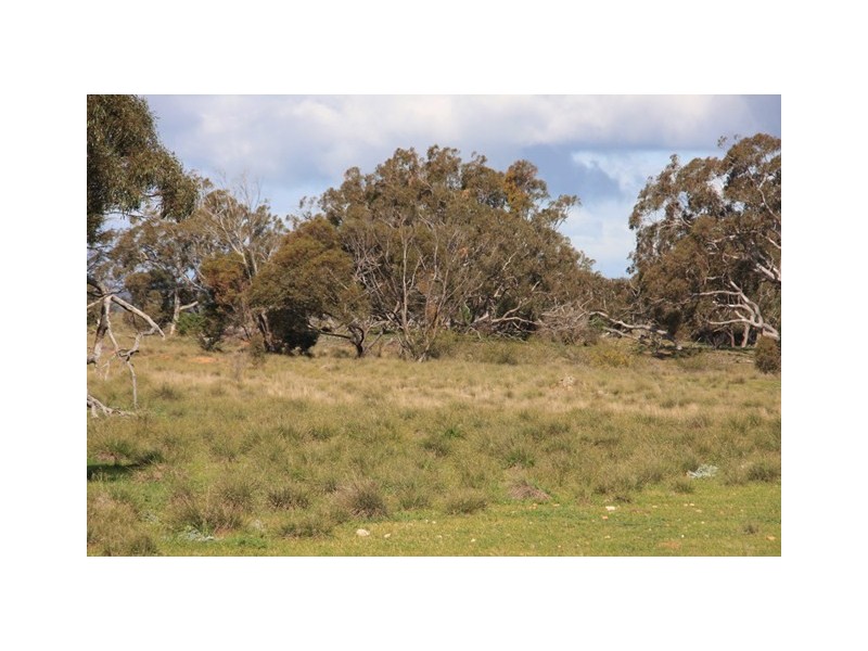 Lot 8 Law Road, Rockleigh SA 5254