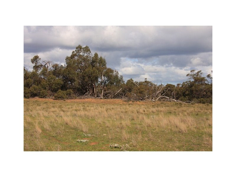 Lot 8 Law Road, Rockleigh SA 5254