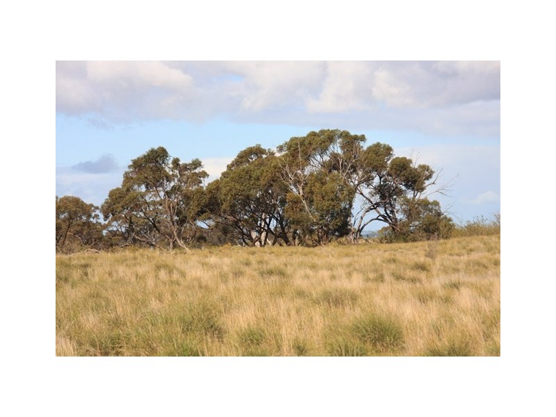 Lot 8 Law Road, Rockleigh SA 5254