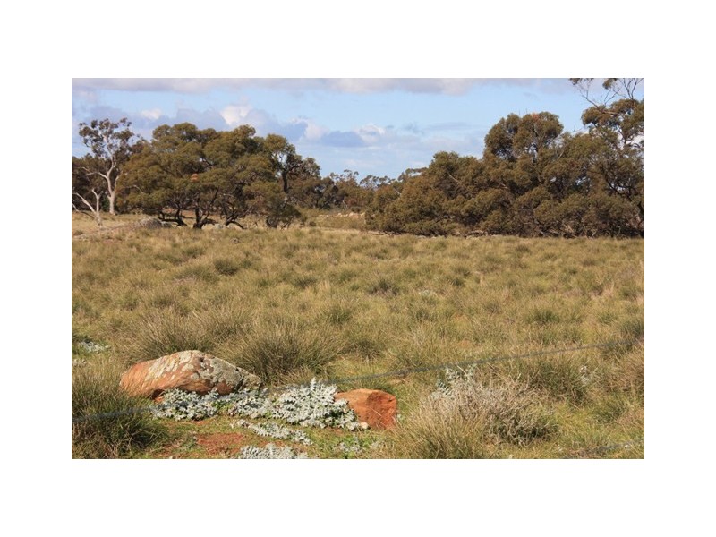 Lot 1 Via Law Road, Rockleigh SA 5254