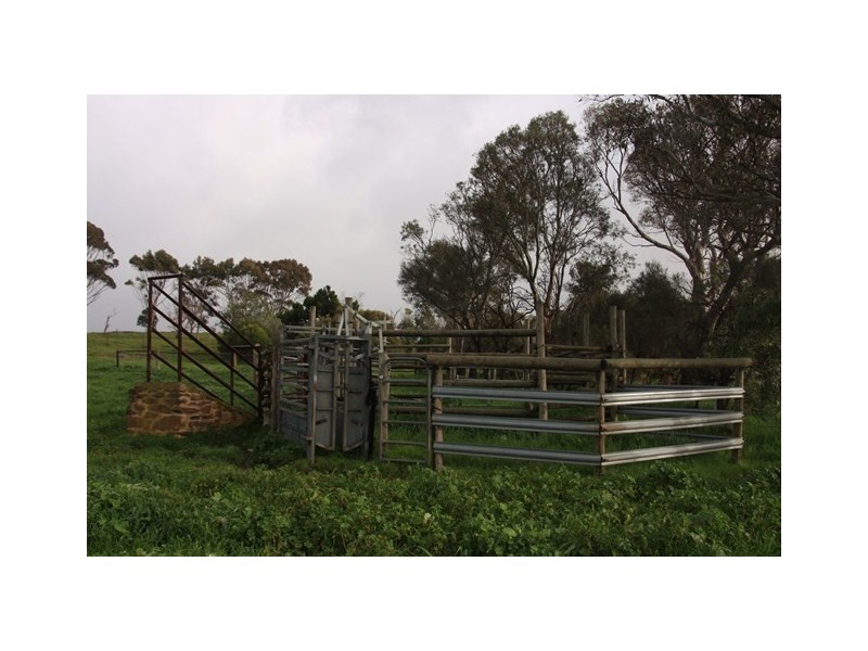 Lot 36 Wellington Road, Highland Valley SA 5255