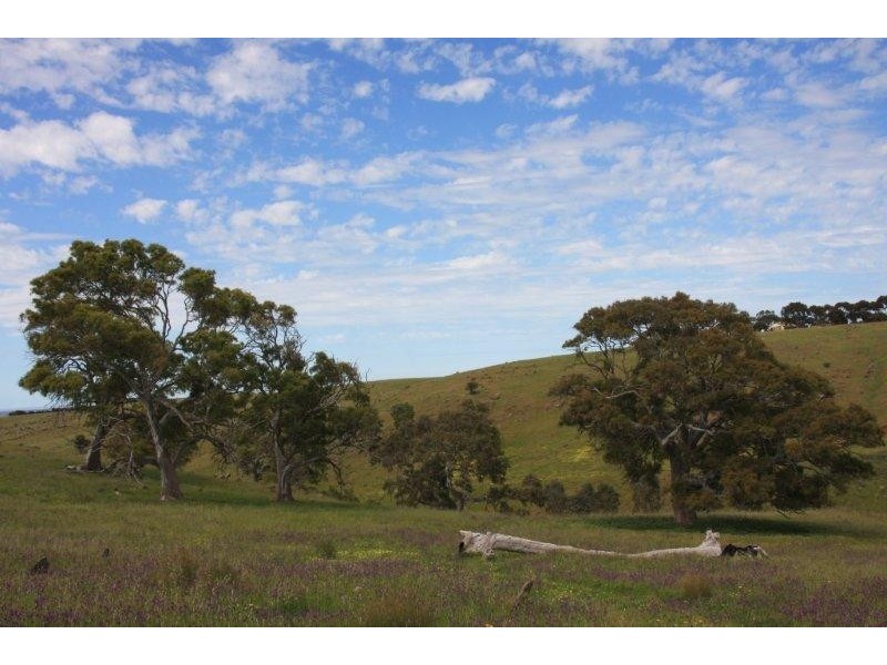 Lot 36 Wellington Road, Highland Valley SA 5255