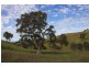 Lot 36 Wellington Road, Highland Valley SA 5255