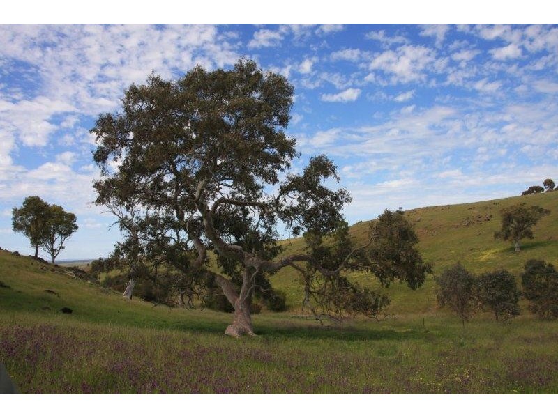 Lot 36 Wellington Road, Highland Valley SA 5255