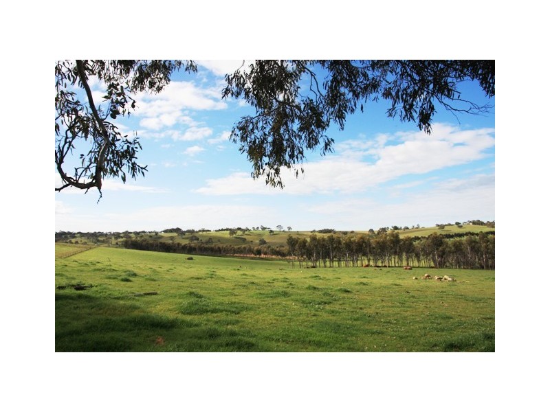 Lot 4 Klenke Road, Wistow SA 5251
