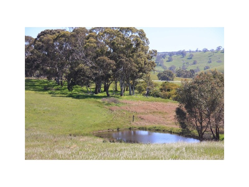 Lot 15 Jones Road (Wooley Road), Harrogate SA 5244