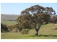 Lot 10 Wooley Road, Harrogate SA 5244