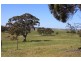Lot 10 Wooley Road, Harrogate SA 5244