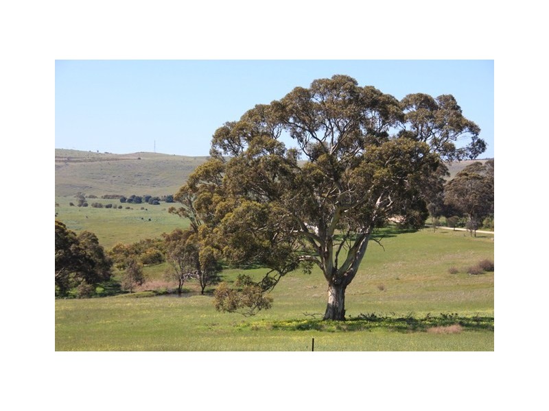 Lot 10 Wooley Road, Harrogate SA 5244