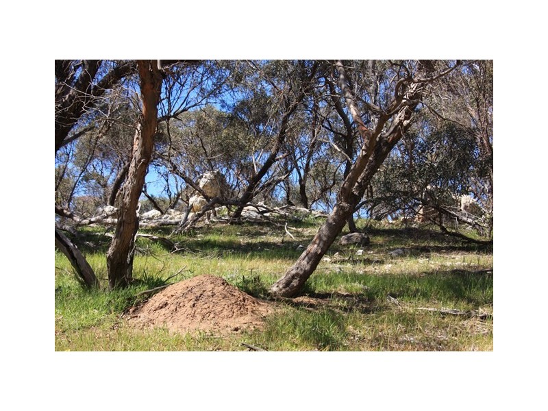 Lot 10 Wooley Road, Harrogate SA 5244