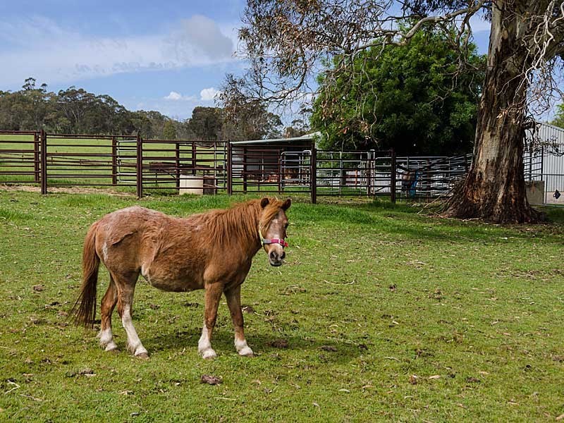 50 Rowley Road, Meadows SA 5201