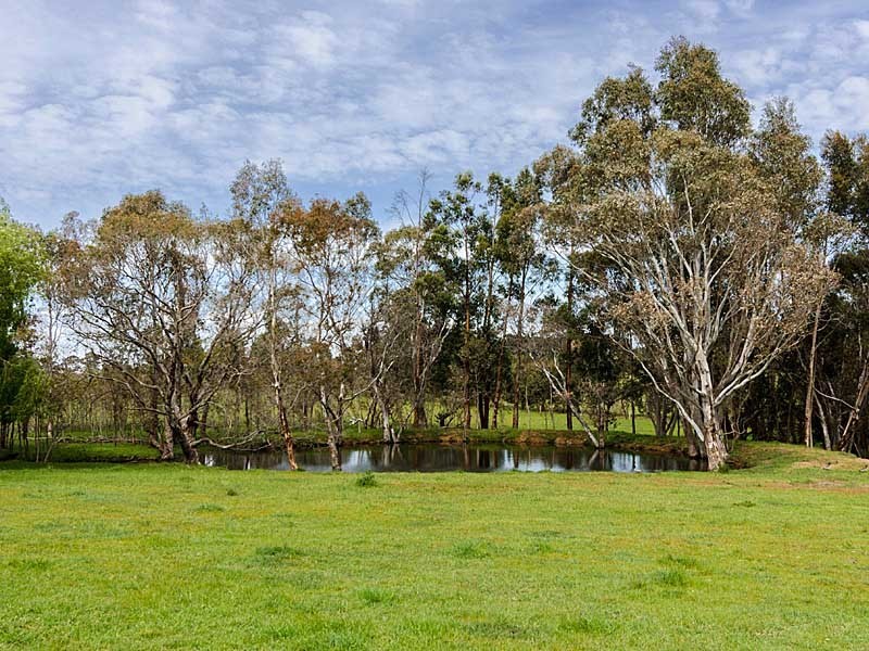 50 Rowley Road, Meadows SA 5201