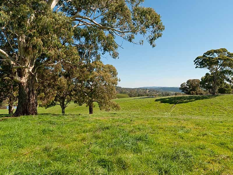 117 Jacksons Hill Road, Gumeracha SA 5233