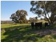 117 Jacksons Hill Road, Gumeracha SA 5233