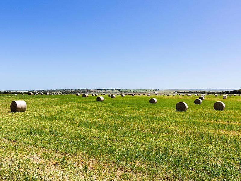 700 South Bremer Road, Strathalbyn SA 5255