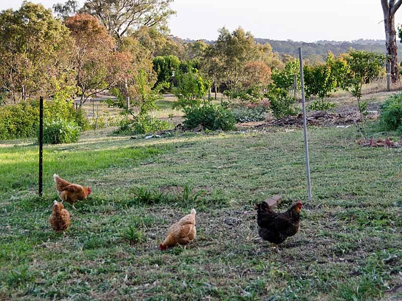 27 Burnbank Way, Mount Barker SA 5251