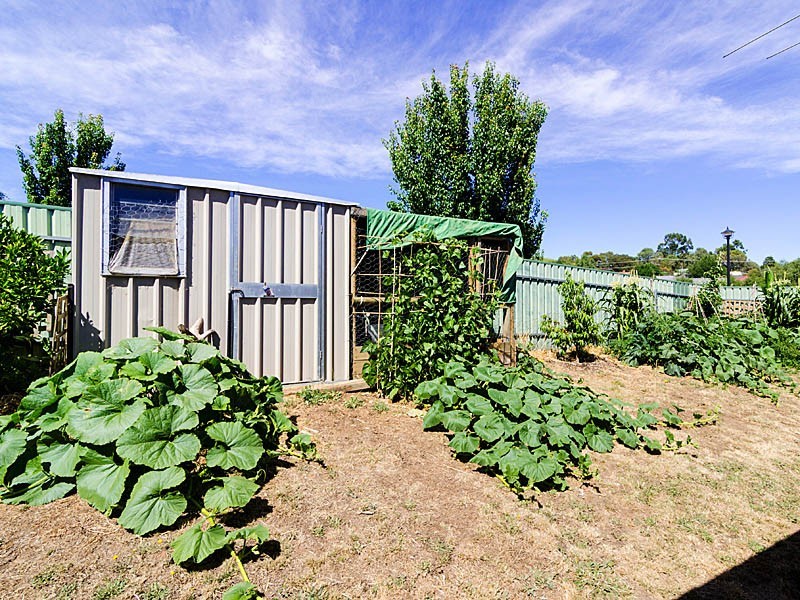 16 Rachel Circuit, Nairne SA 5252