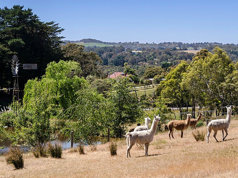 5 Silver Road, Bridgewater SA 5155