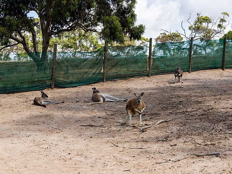 Lot 27 / 213 Jaensch Road, Hartley SA 5255